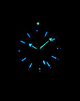 SEAMASTER PROFESSIONAL PLANET OCEAN 600M STEEL CASE BLACK DIAL