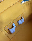 MUSE VANITY CASE 20 IN YELLOW GOYARDINE CANVAS